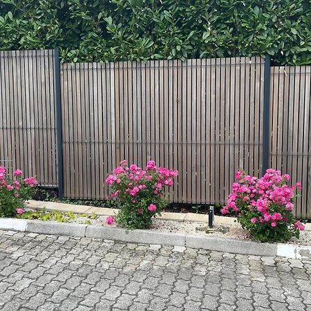 Roses Apartment Prijeten Apartma Za Dve Osebi 门奇斯 外观 照片