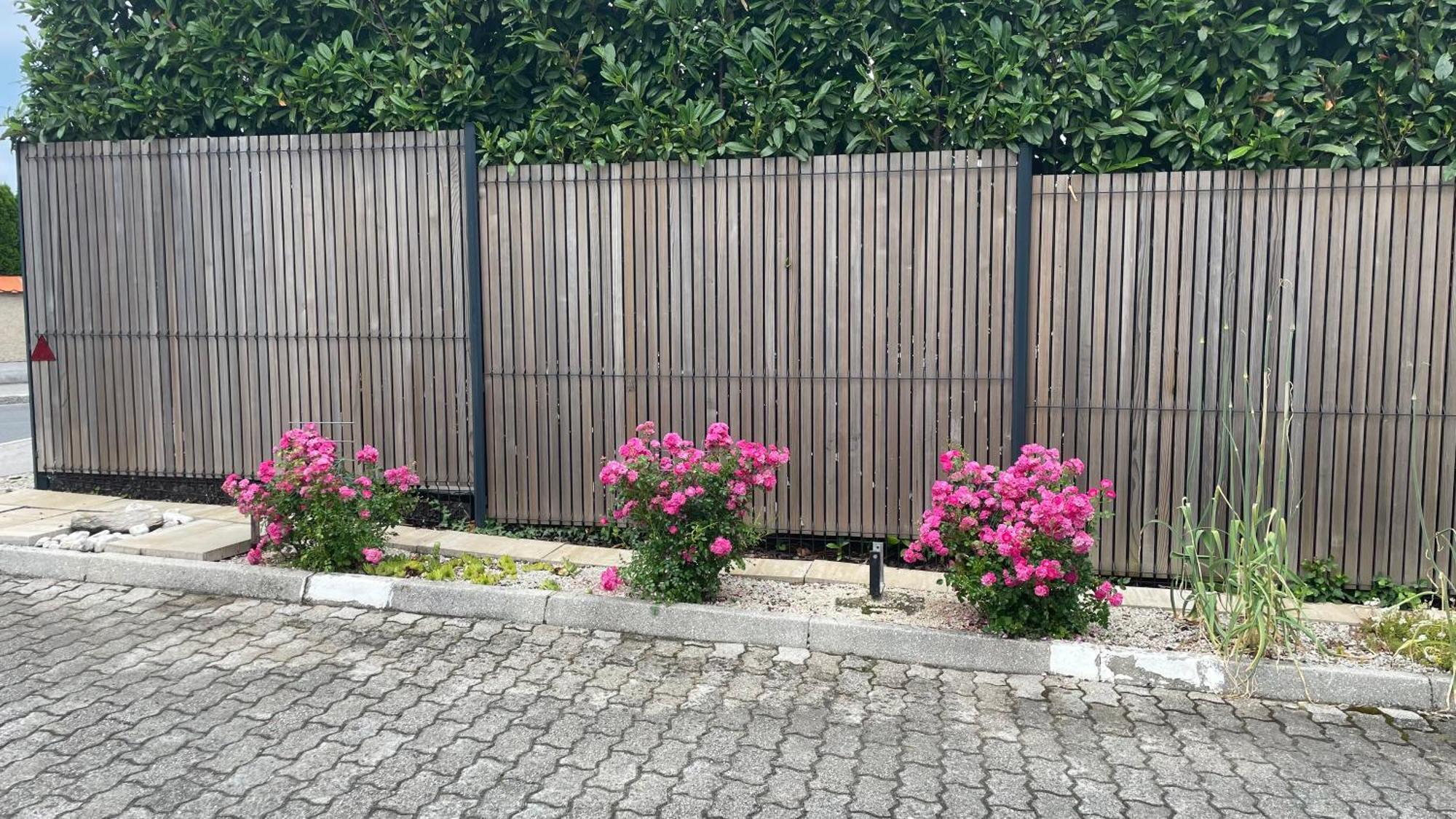 Roses Apartment Prijeten Apartma Za Dve Osebi 门奇斯 外观 照片